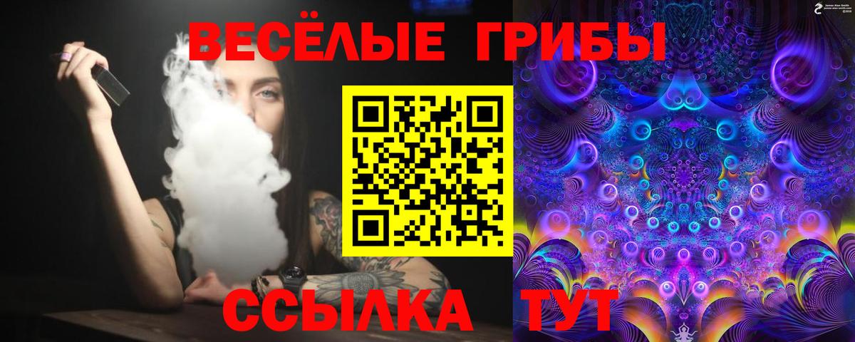 где купить   Псилоцибиновые грибы MAGIC MUSHROOMS  Вход с VPN  Белгород  Псилоцибиновые грибы мицелий 